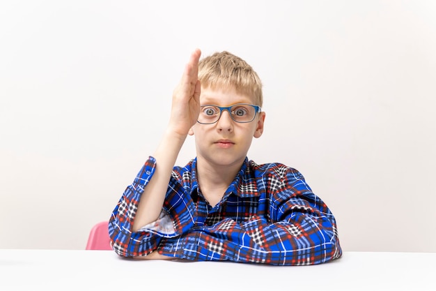 Un écolier avec des lunettes lève sa main, un garçon en chemise à carreaux sait répondre à l'étude de l'école primaire