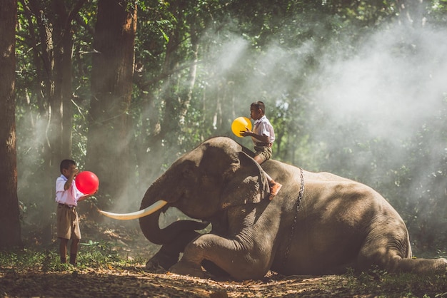 Des écoliers soufflant des ballons avec un éléphant dans la forêt