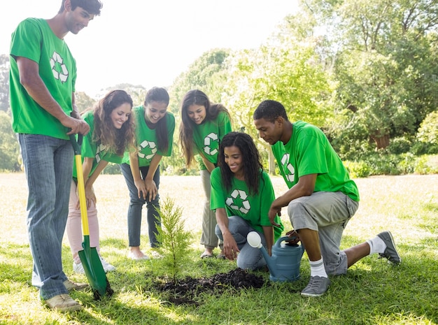 Les écologistes regardant la plante