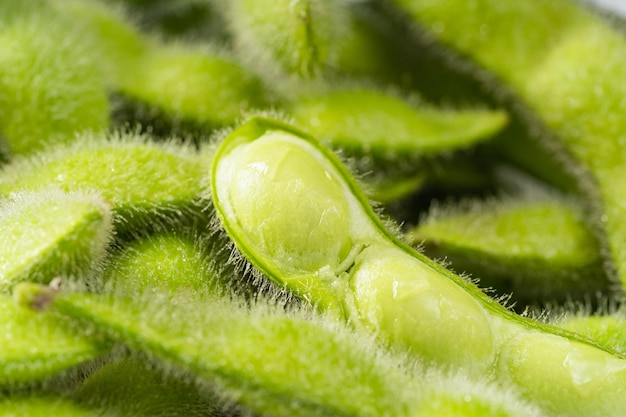 Edamame frais sur fond monochrome