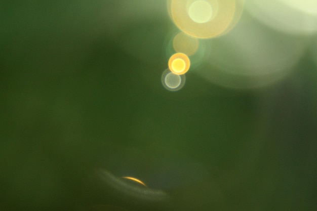 Effet bokeh vert nature