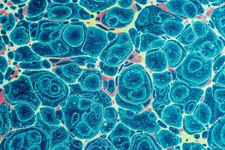 Photo effet marbré bleu sur papier