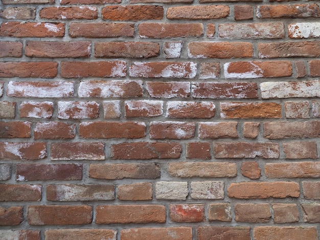 L'efflorescence et l'humidité de l'humidité sur le mur