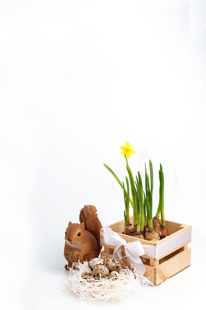 eggsufs de caille dans du papier à côté d'une figurine d'écureuil et d'une boîte en bois avec des fleurs de jonquilles fraîches