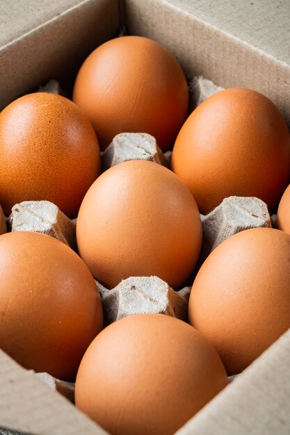 eggsufs de poule dans un ensemble de plateaux à œufs, sur fond noir