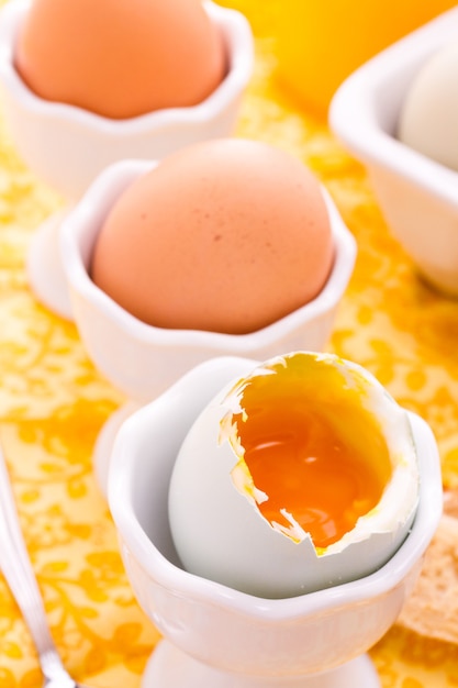 egguf à la coque dans un coquetier et servi avec des toasts.