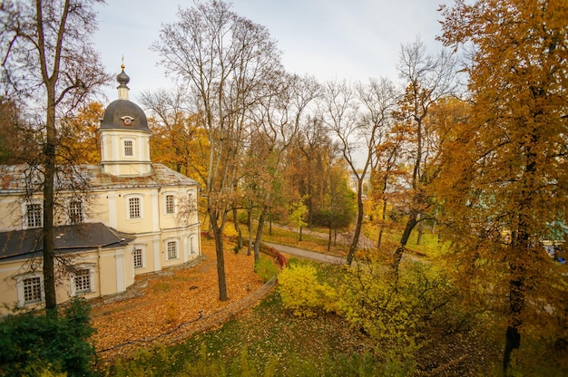 Photo une église dans les bois avec des feuilles d'automne au sol