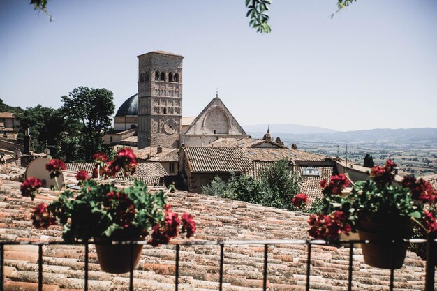 une église avec une église en arrière-plan et des fleurs au premier plan