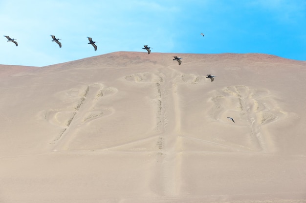 El Candelabro Îles Ballestas Pérou Amérique du Sud