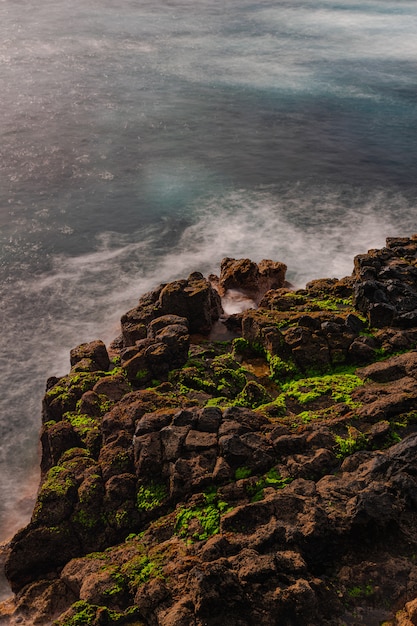 El Pris roches volcaniques avec de la mousse verte, Tacoronte, Tenerife, Canaries, Espagne