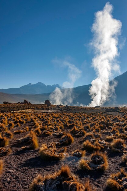 El Tatio Geyser Field Désert d'Atacama Chili