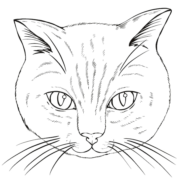 Élément de conception de chat dessiné à la main