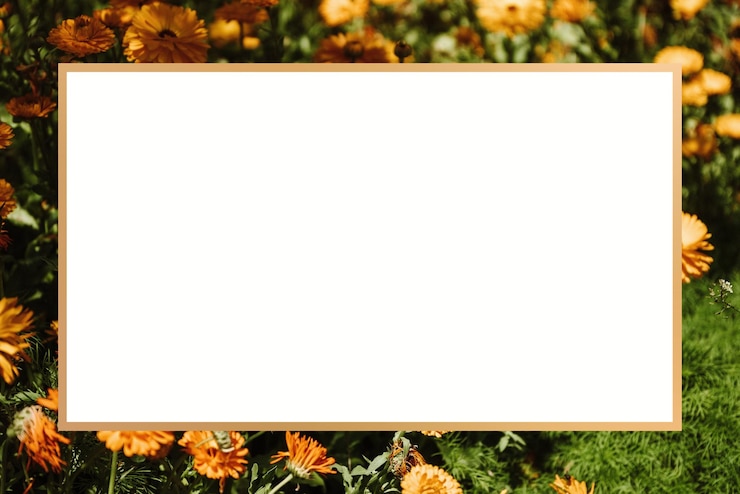 Photo elément de conception du cadre à motif de fleur de chrysanthème jaune