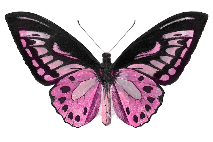 Photo élément de conception de papillon rose étincelant