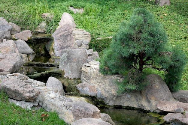 Un élément de conception paysagère un ruisseau lent coule dans les marches de pierre sur un gros plan d'une chaude journée d'été