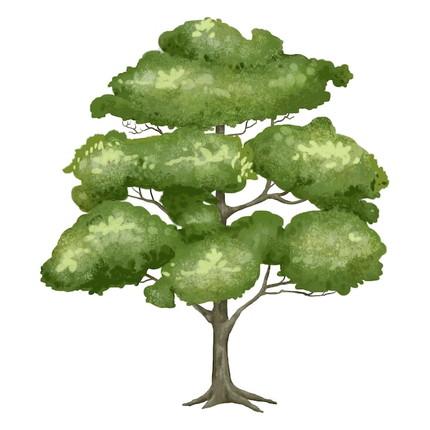 élément de conception png de l'arbre d'orme