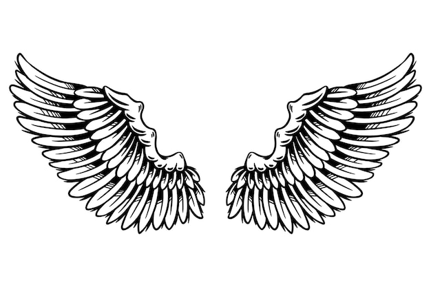 Élément de conception de recouvrement d'autocollant du contour des ailes