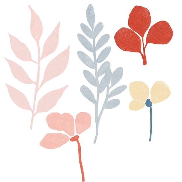Éléments de feuilles colorées Éléments botaniques dessinés à la main