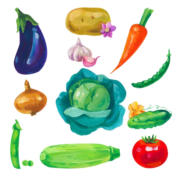 Éléments de légumes acryliques ou gouaches peints à la main sur blanc