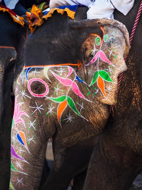 Un éléphant peint