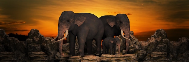 Éléphants au coucher du soleil rendu 3d