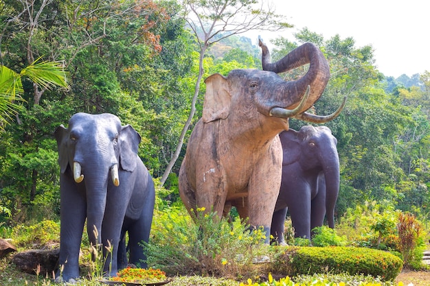 Les éléphants marchent dans la jungle