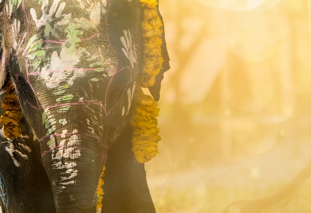 Les éléphants thaïlandais accueillent le festival Songkran Elephant Face Painting