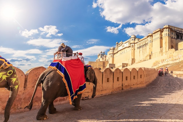 Les éléphants et les touristes à Fort Amber Jaipur Rajasthan Inde