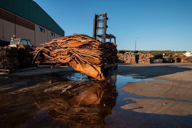 Élévateur à Fourche Transporte Pile