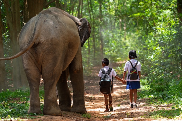 Les élèves vont à l'école avec un gros éléphant