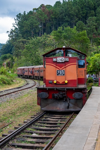 Ella train en srilanka à la gare