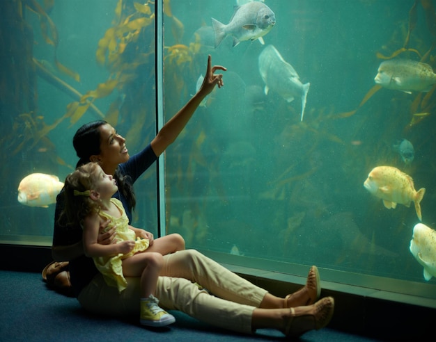 Elle s'est concentrée sur ces poissons. Photo recadrée d'une petite fille lors d'une sortie à l'aquarium.