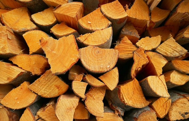 Empilez les bûches de bois coupées dans le stockage du bois de chauffage