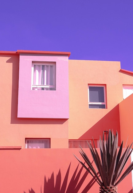 Emplacement tropical de mode Mur rose Ombres de palmier Îles Canaries Publicité de voyage fond d'écran élégant