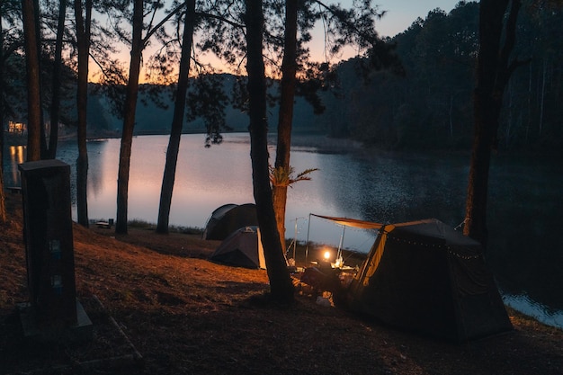 Emplacements de camping réservoirs et arbres au petit matin