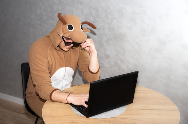 Employé de bureau en costume cosplay d'une vache. Guy dans les vêtements de nuit pyjamas animaux drôles près de l'ordinateur portable. L'homme travaille à domicile. Recherche d'emploi, concept de chômage, crise économique. Travail à distance.