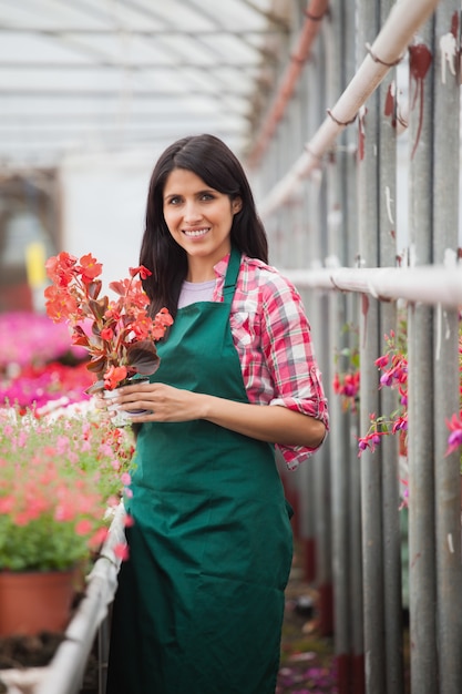 Employé de jardinerie debout et tenant le pot de fleur