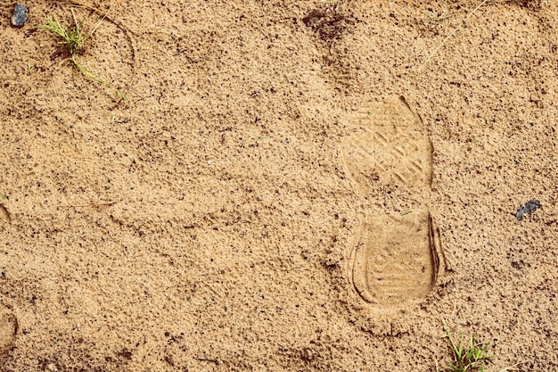 Empreinte d'une chaussure dans le sable humide