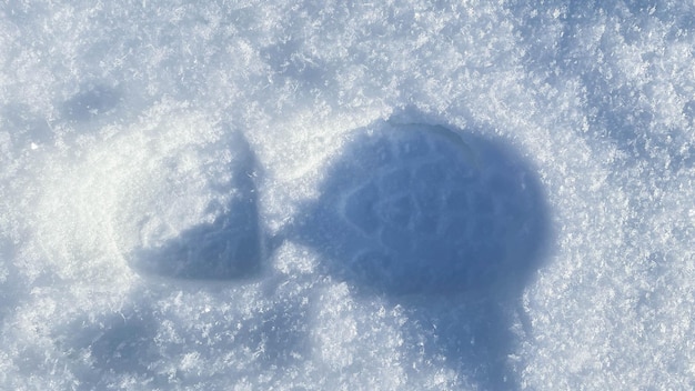 L'empreinte d'une chaussure sur de la neige propre