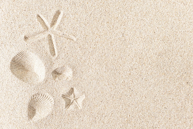 Empreinte de coquillages et d'étoiles de mer sur le sable, avec espace de copie