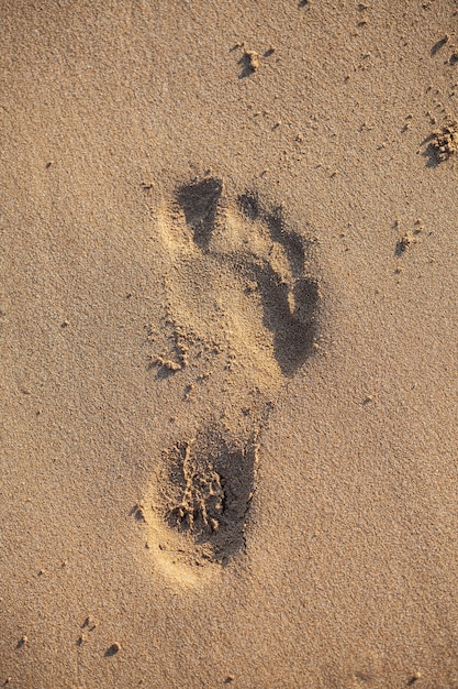 Empreinte dans le sable. vacances à la plage