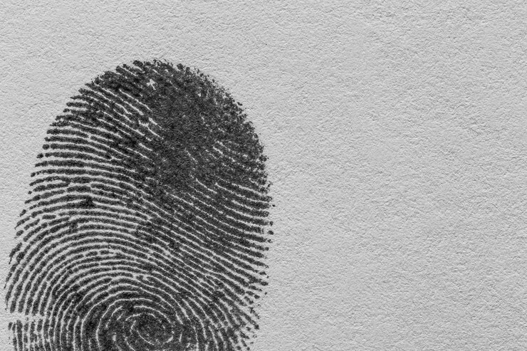 Photo empreinte digitale macro noire, détail des empreintes digitales, véritable empreinte digitale sur fond blanc super macro