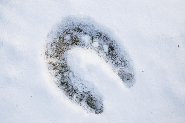 Empreinte de fer à cheval dans la neige