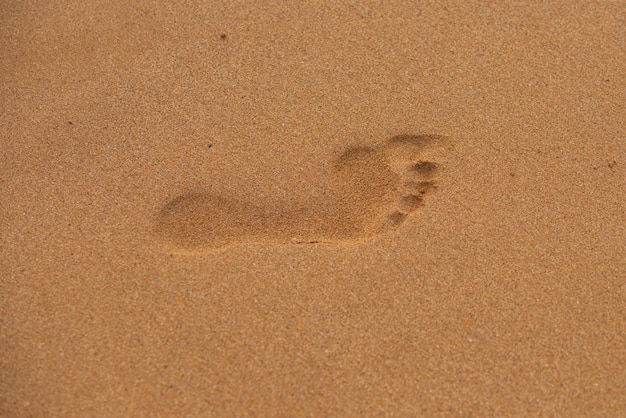 Empreinte de pas dans le gros plan de la plage de sable Empreintes de pas pieds nus dans le sable du désert