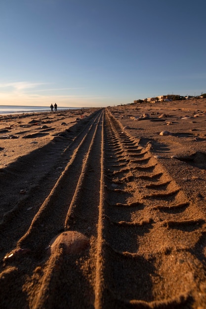 L'empreinte d'une roue de voiture sur le rivage de la plage.