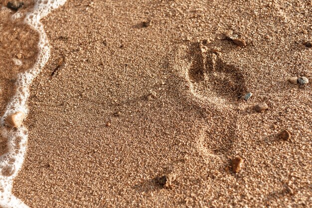 Empreinte sur le sable doré de la plage