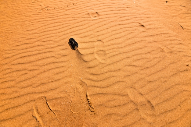 Empreinte Sur Le Sable, Vue En Perspective.