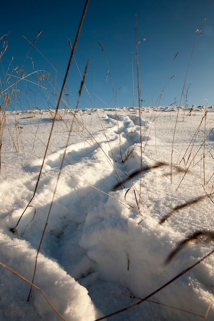 Empreintes sur les congères après la marche, le gel et les chutes de neige hivernales