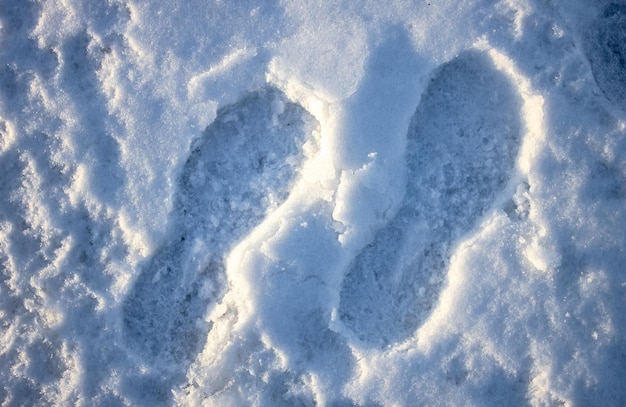 Des empreintes dans la neige de bottes Une empreinte dans une neige de pieds d'une personne