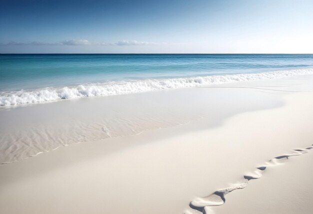 Des empreintes dans le sable d'une plage.